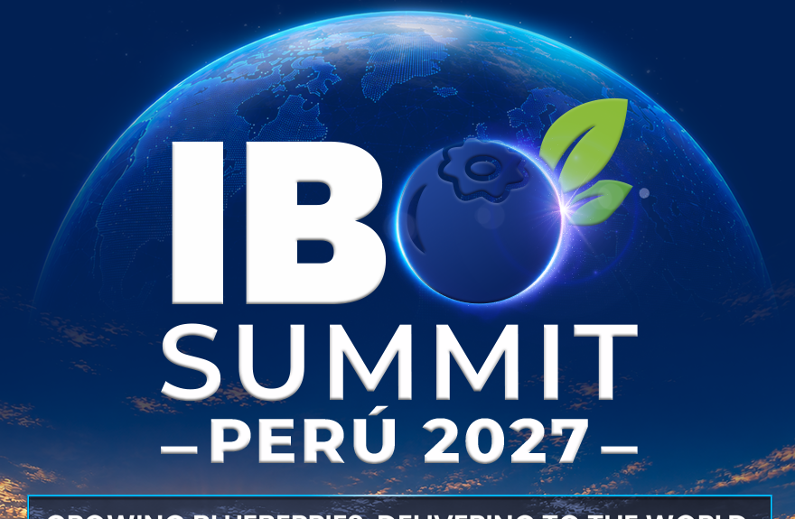 IBO Summit Perú 2027
