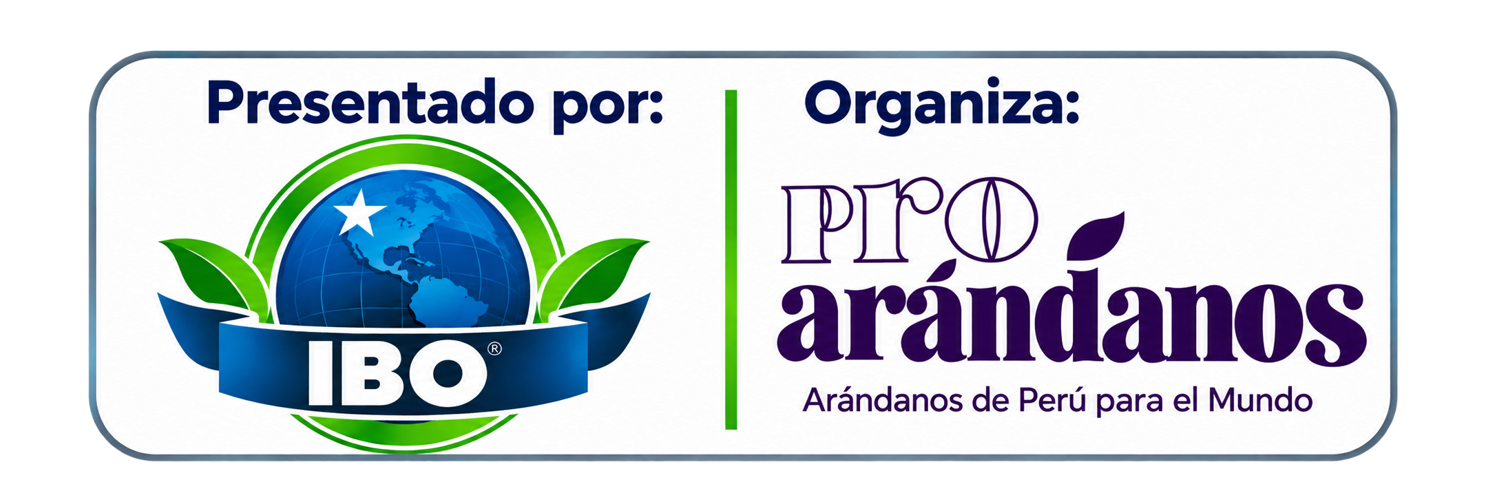 Presented by IBO | Organized by ProArándanos